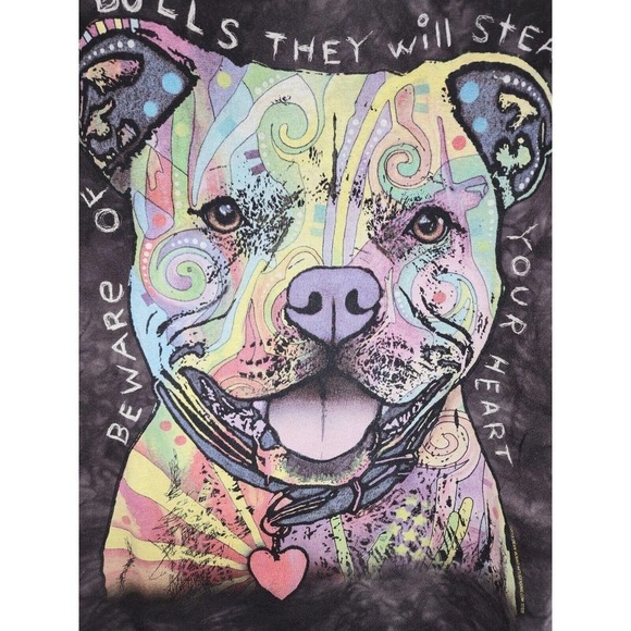 The Mountain Pit Bull Shirt Black Tie Dye Large Rainbow Size 2X 2013 Dean Russo - Picture 2 of 10